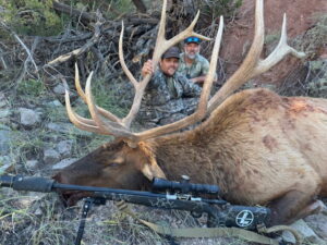 Two hunters pose with a large elk they have harvested, camouflage clothing and a rifle in the foreground across the animal's body.